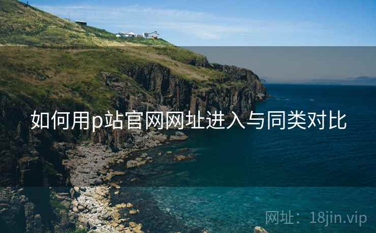 如何用p站官网网址进入与同类对比  第1张