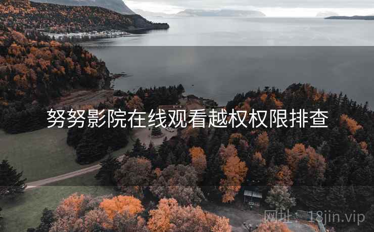 努努影院在线观看越权权限排查  第1张