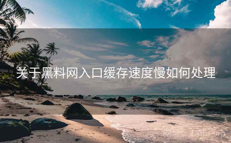 关于黑料网入口缓存速度慢如何处理  第1张