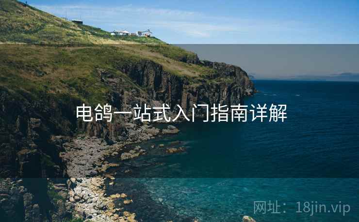电鸽一站式入门指南详解  第1张