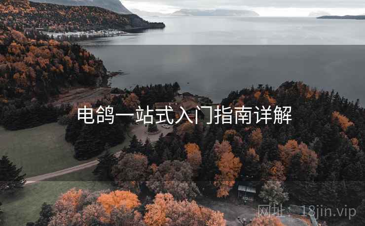 电鸽一站式入门指南详解  第2张