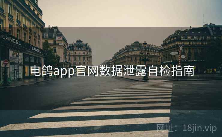 电鸽app官网数据泄露自检指南  第2张