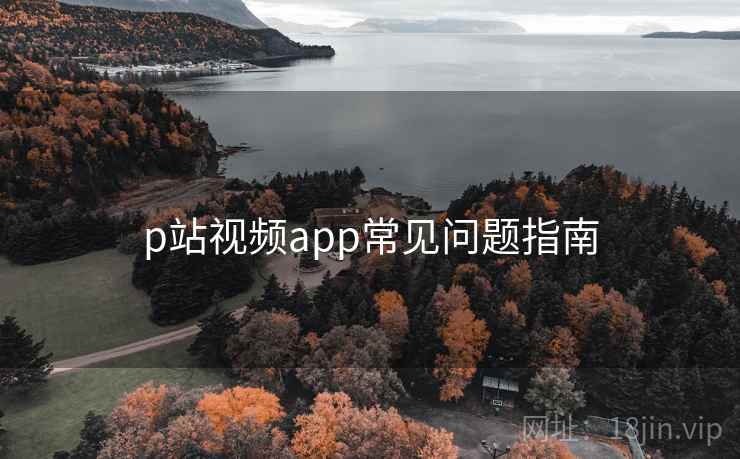 p站视频app常见问题指南  第2张