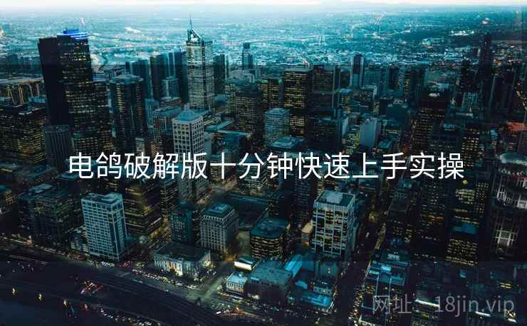电鸽破解版十分钟快速上手实操  第2张