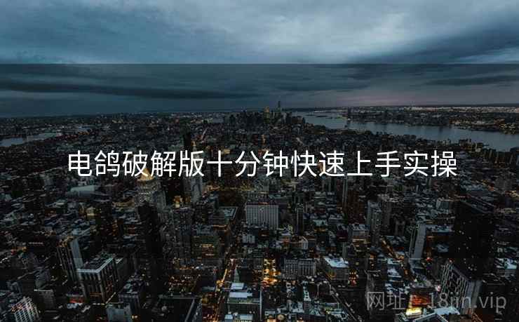电鸽破解版十分钟快速上手实操  第1张