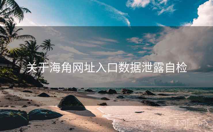 关于海角网址入口数据泄露自检  第1张