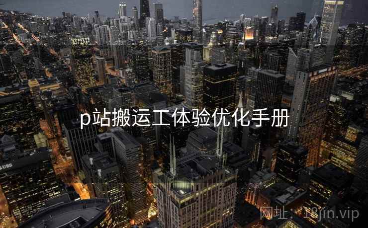 p站搬运工体验优化手册  第1张