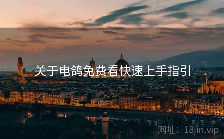 关于电鸽免费看快速上手指引  第1张