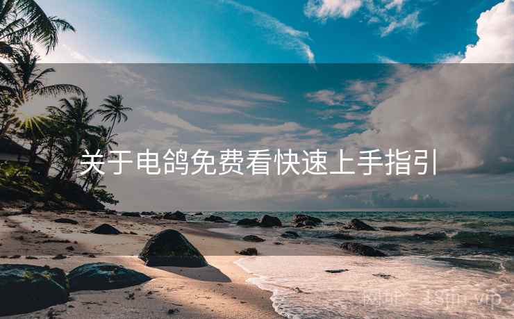 关于电鸽免费看快速上手指引  第2张