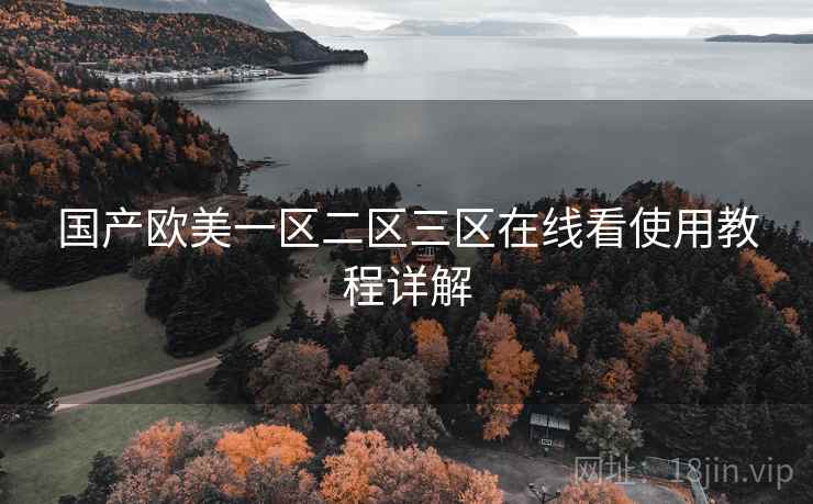 国产欧美一区二区三区在线看使用教程详解  第1张