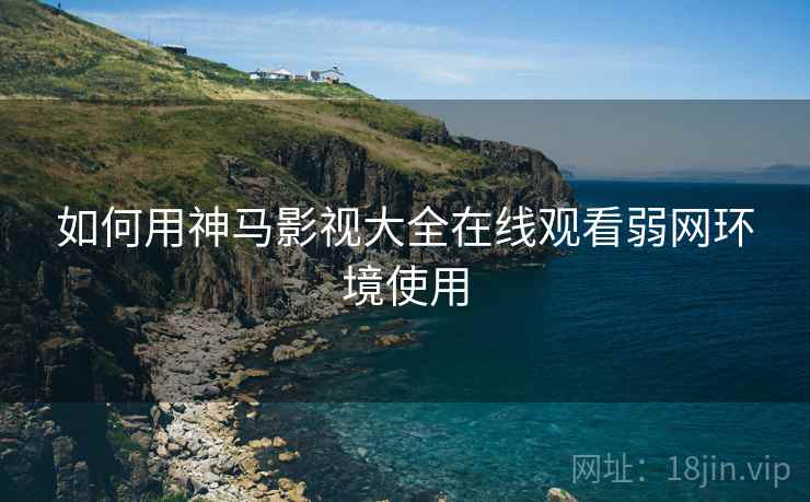 如何用神马影视大全在线观看弱网环境使用  第1张