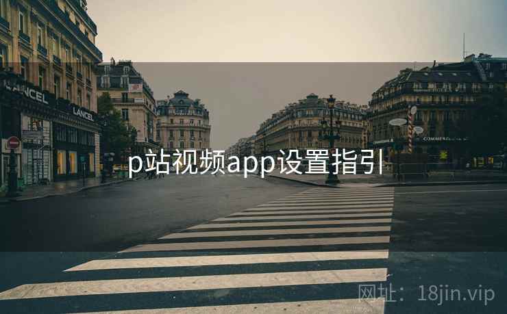 p站视频app设置指引  第2张