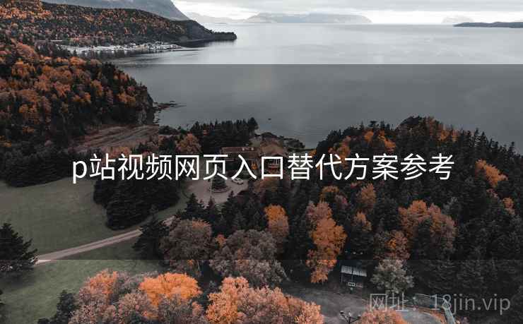 p站视频网页入口替代方案参考  第2张