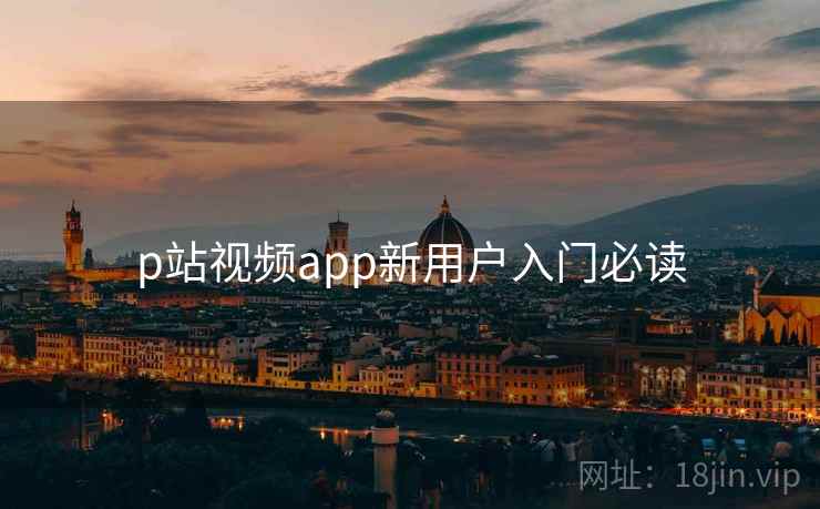p站视频app新用户入门必读  第2张