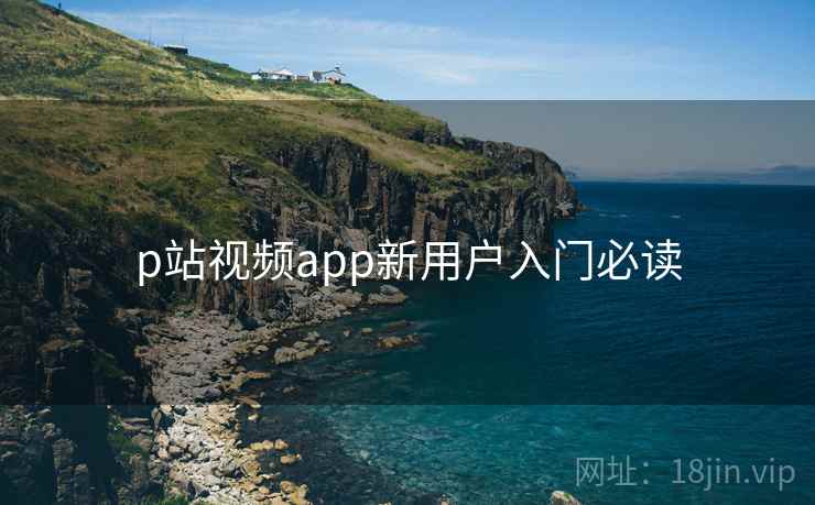 p站视频app新用户入门必读  第1张