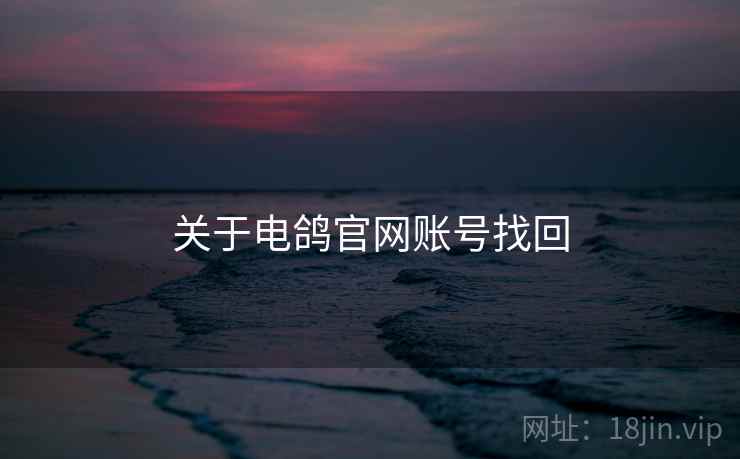 关于电鸽官网账号找回  第2张