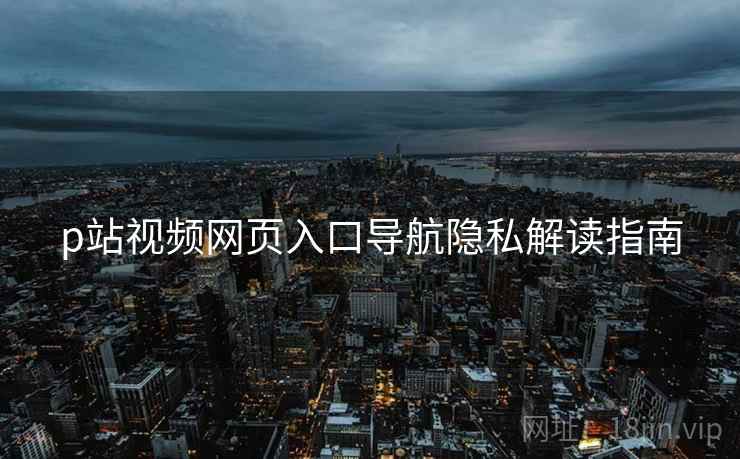 p站视频网页入口导航隐私解读指南  第2张