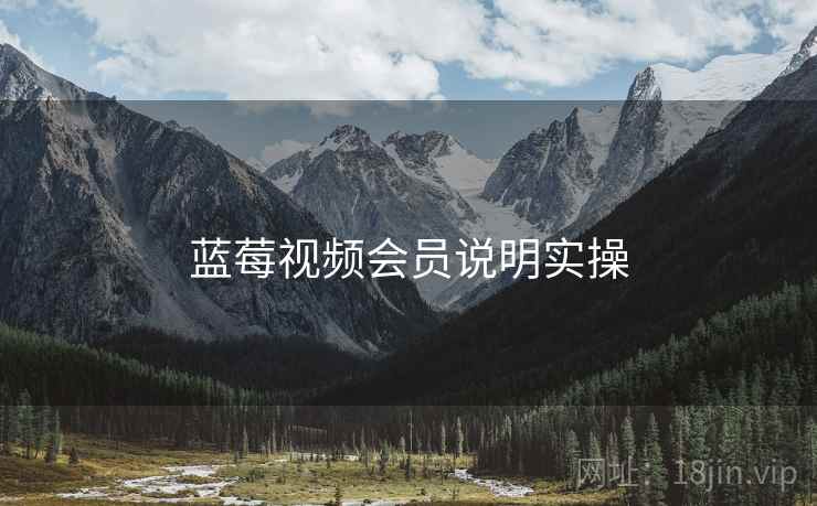 蓝莓视频会员说明实操  第1张