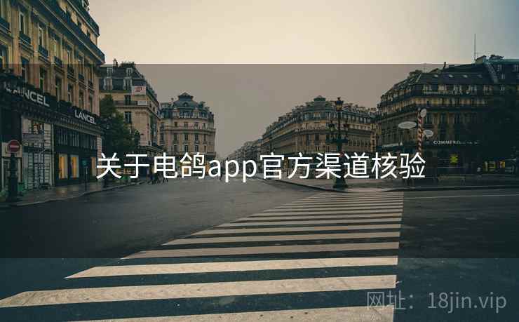 关于电鸽app官方渠道核验  第2张
