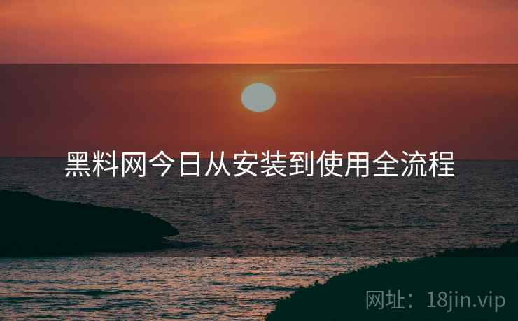 黑料网今日从安装到使用全流程  第1张